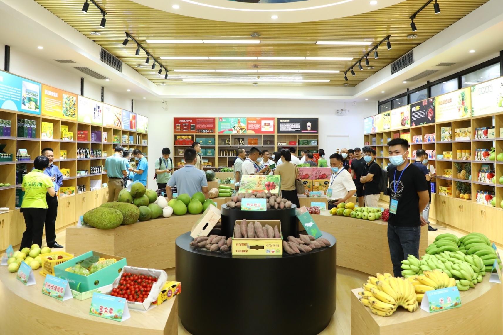 海南3個市縣特色農產品走進粵港澳大灣區 簽約訂單超1.3億元